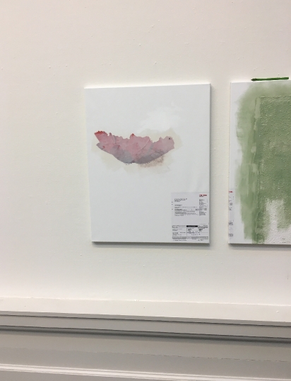 IMG1